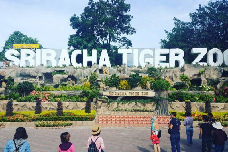 Sri Racha Tiger Zoo Pattaya