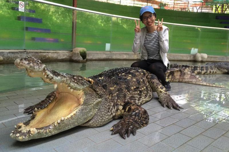 Pose with Crocodile