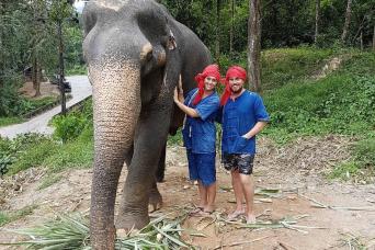 Elephant Day Care