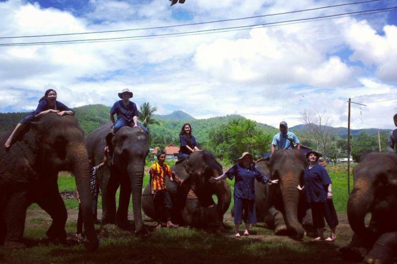 Mae Taman Elephant camp